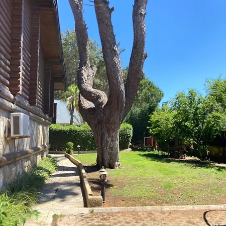 Antalya Wood 别墅 Duacı