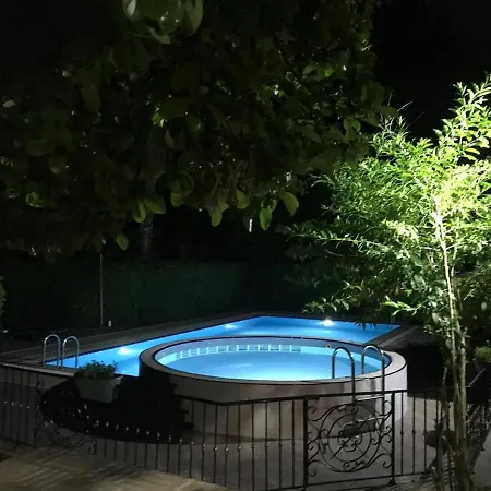 Antalya Wood Duaci