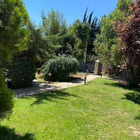 Antalya Wood